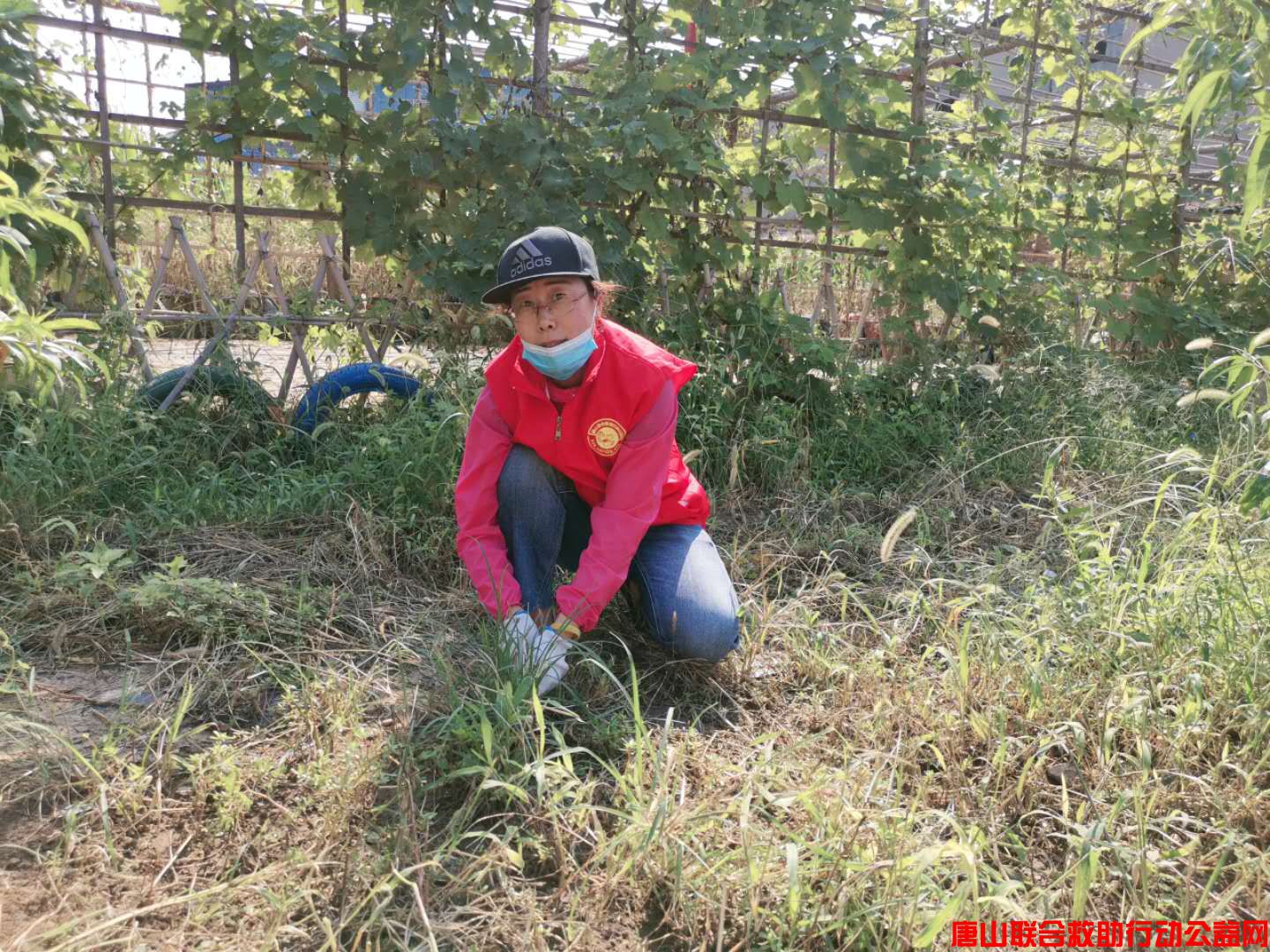 微信图片_20201002222756.jpg