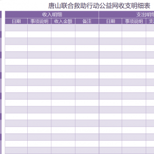 2020年11月唐山联合救助行动公益网收支明细表