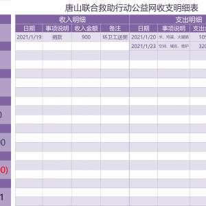 2021年1月唐山联合救助行动公益网收支明细表