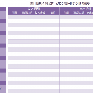 2021年2月唐山联合救助行动公益网收支明细表