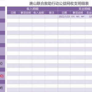 2022年1月唐山联合救助行动公益网收支明细表