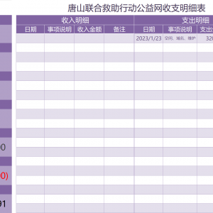 2023年1月唐山联合救助行动公益网收支明细表