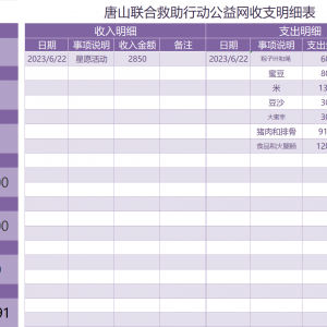 2023年6月唐山联合救助行动公益网收支明细表