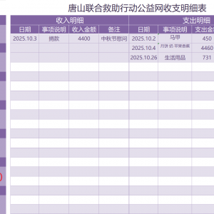 2025年10月唐山联合救助行动公益网收支明细表